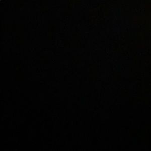 Meet your Posher, Riley